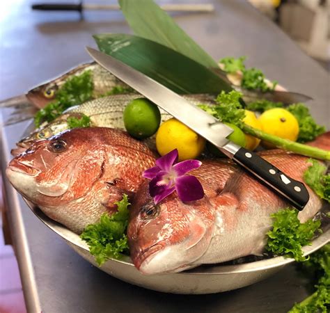 Passion fin merrifield - Sushi love ️ #restaurantlife #lunch #lunchspecials #friedrice #asianfood #fairfaxcounty #tysoncorner #foodporn #foodie #sushi #sushilover #sashimi...